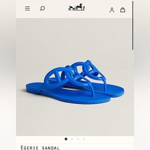 Hermes blue slides
